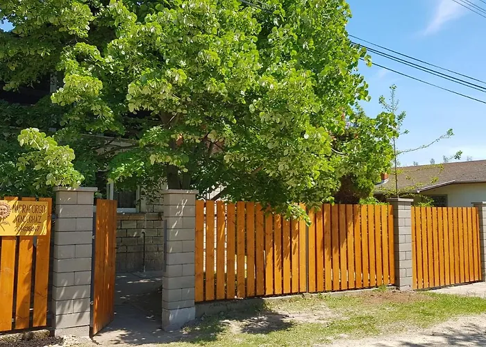 Napraforgo Vendeghaz