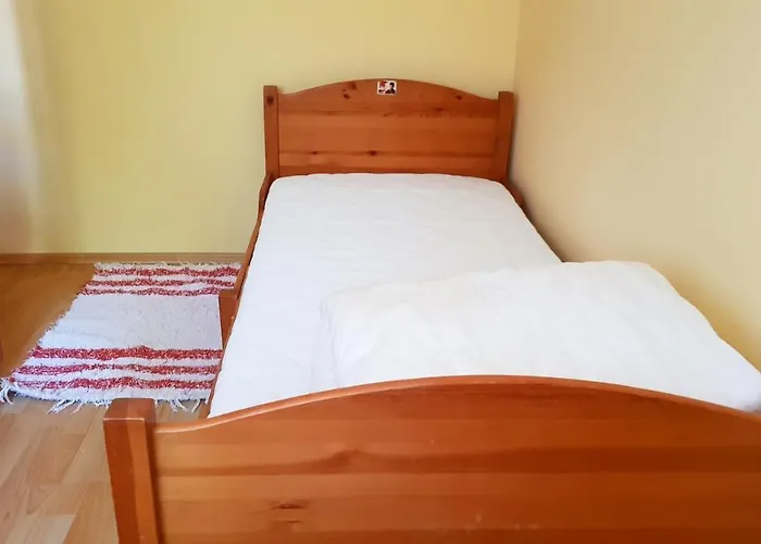 Napraforgo Vendeghaz
